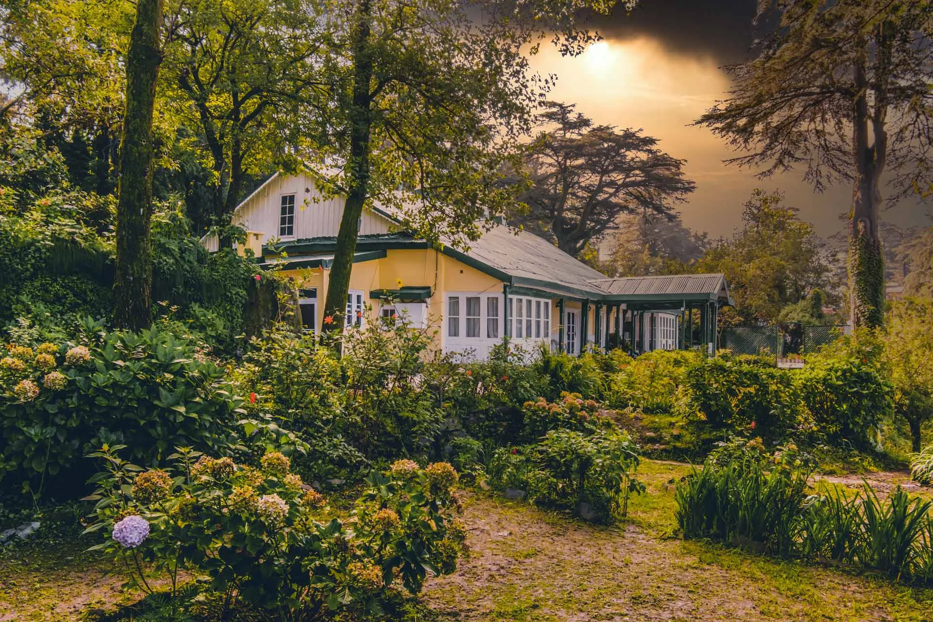 Rose Cottage, Shimla - Exteriors Of The Property & Gardens
