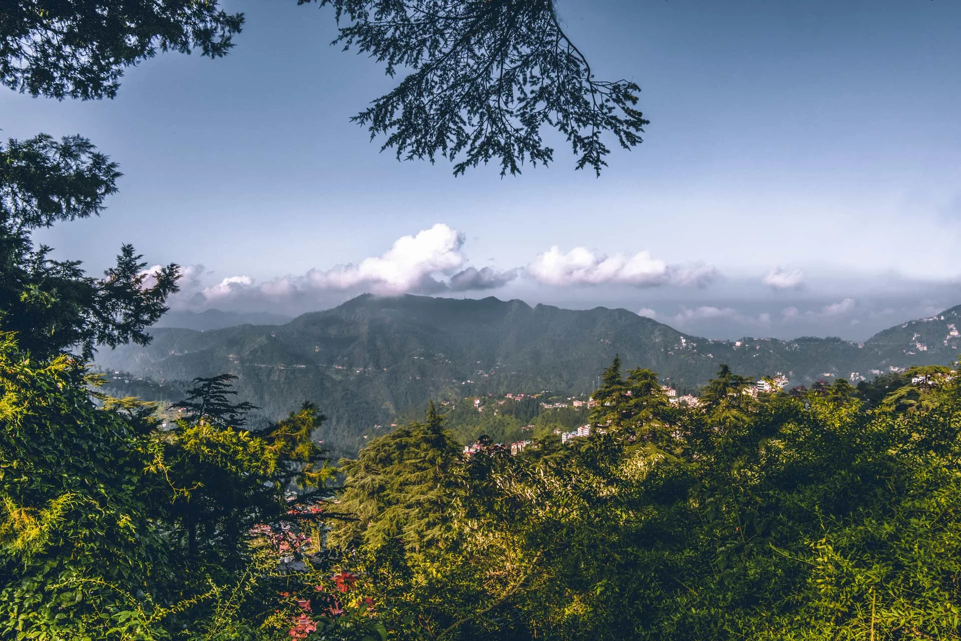 Rose Cottage, Shimla - Exteriors Of The Property & Gardens