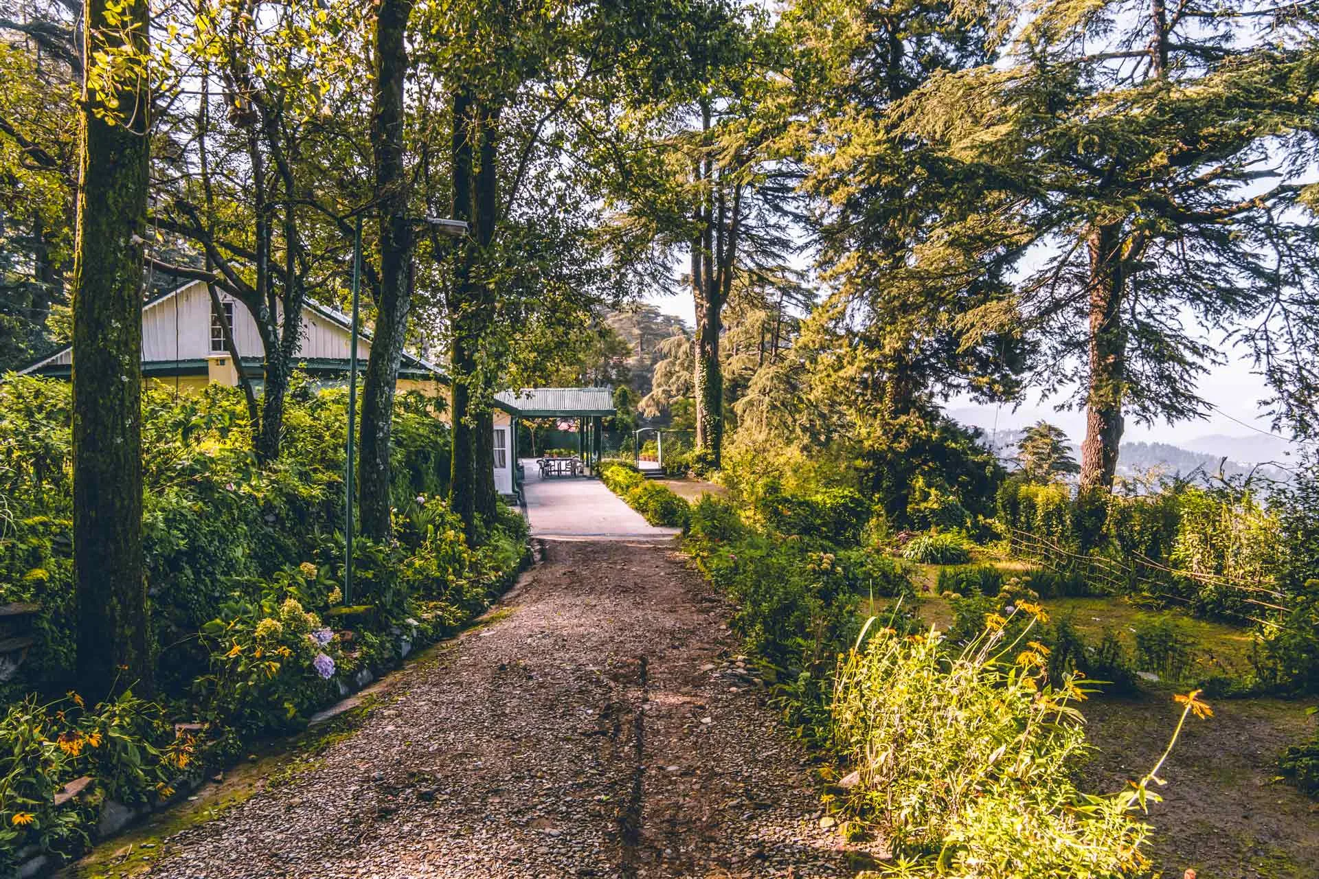 Rose Cottage, Shimla - Exteriors Of The Property & Gardens