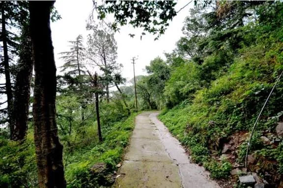 Gilbert Trail