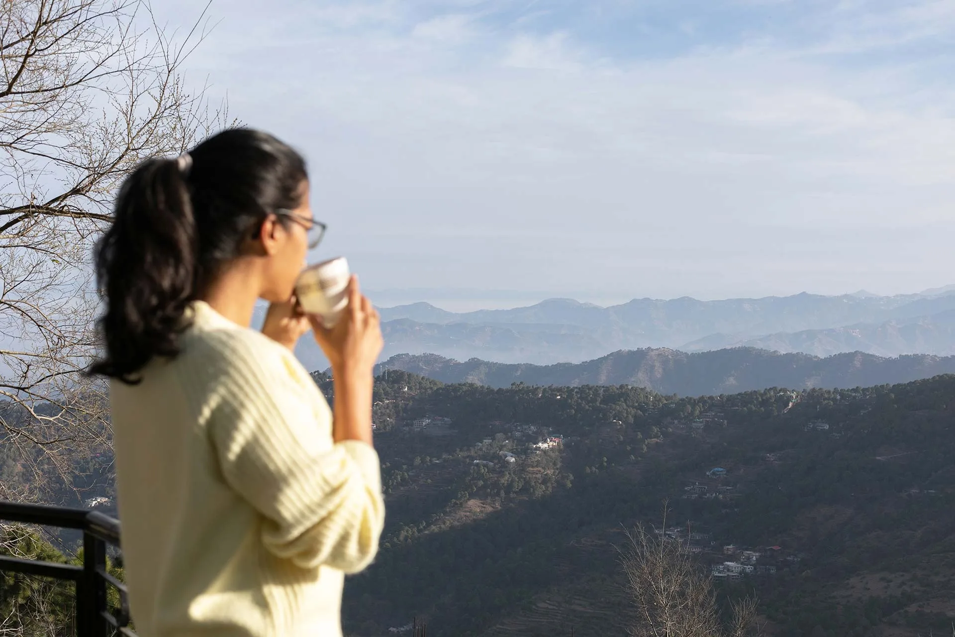 Springfield, Kasauli - Exteriors