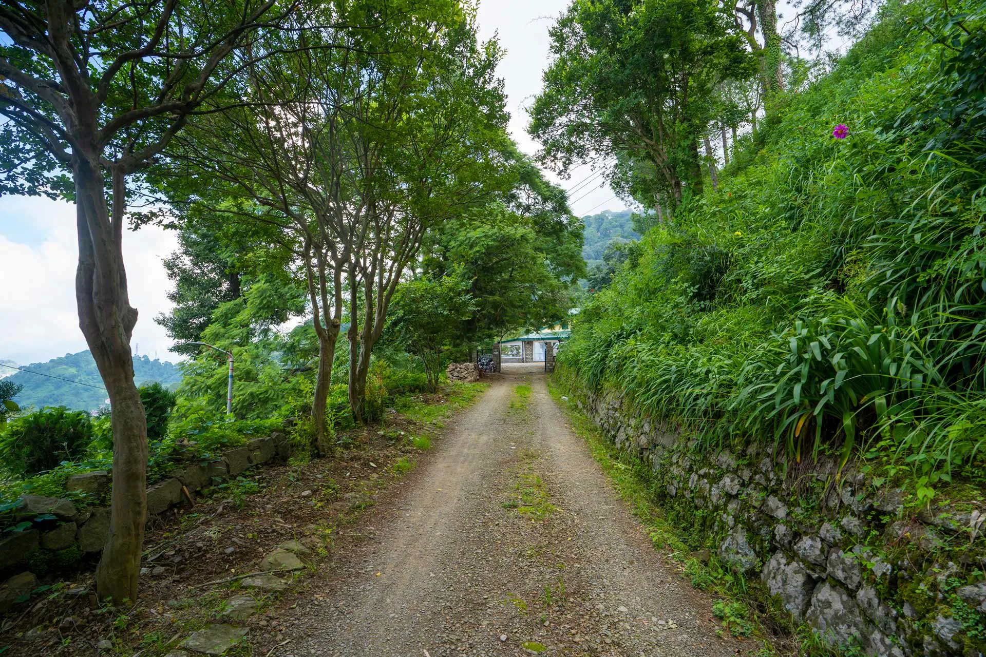 Springfield, Kasauli - Exteriors