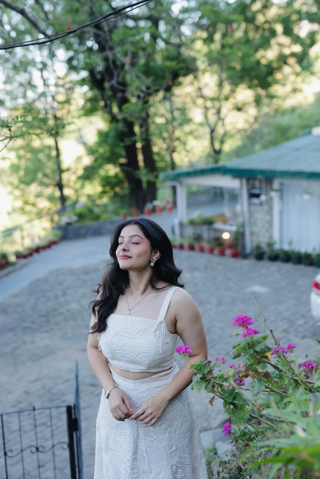 Springfield, Kasauli - Exteriors